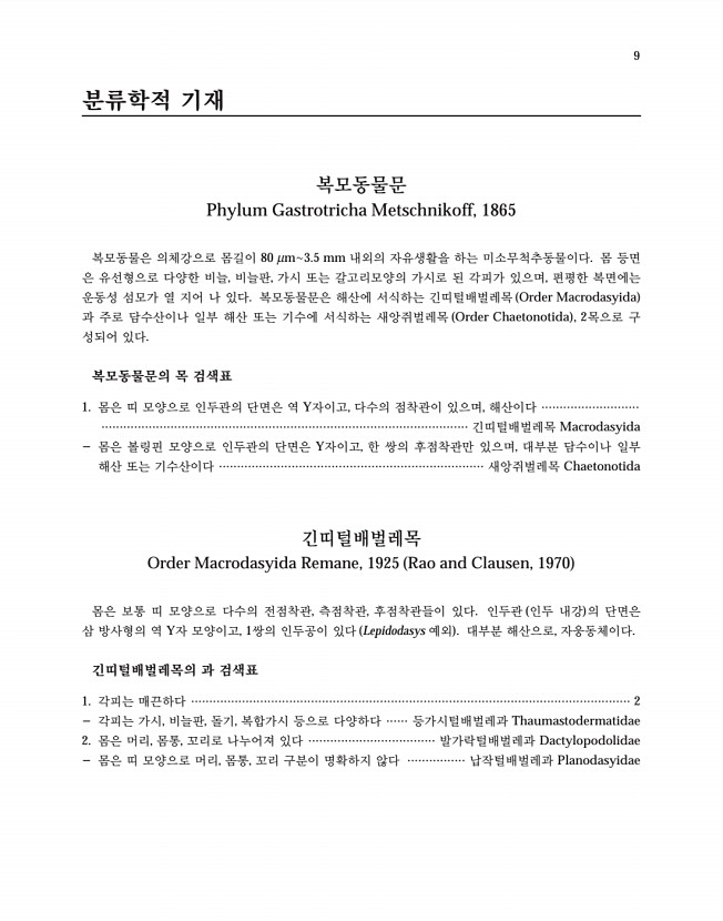 13페이지