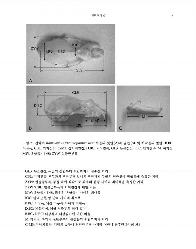 7페이지