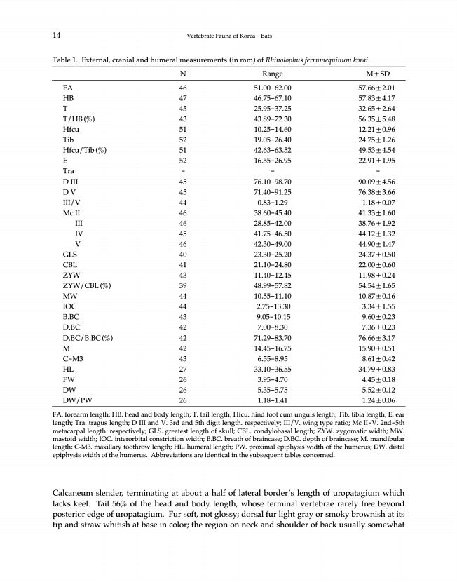 14페이지