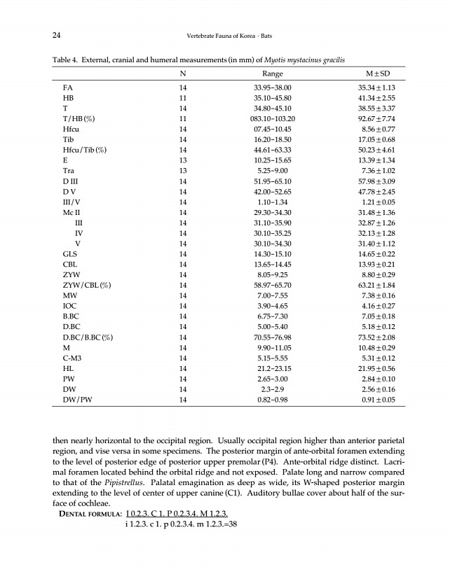 24페이지