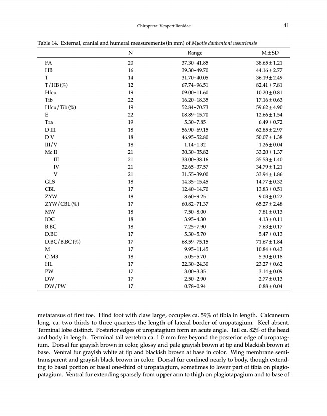 41페이지