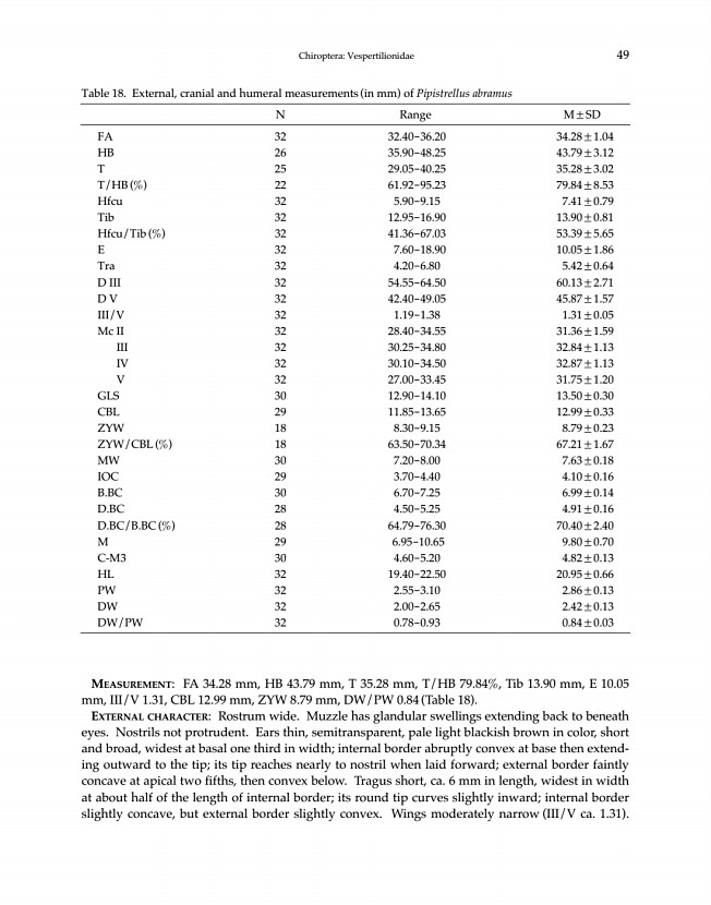 49페이지