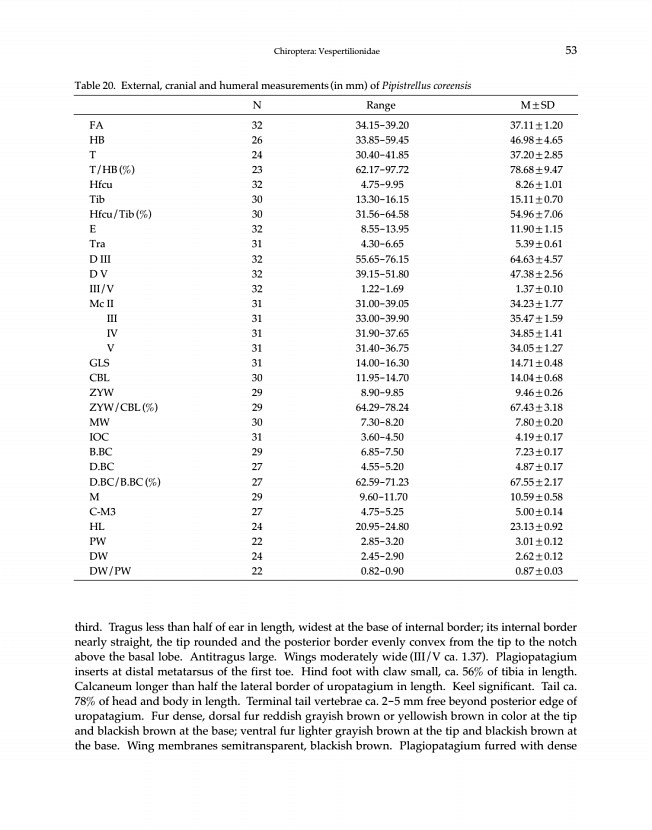 53페이지