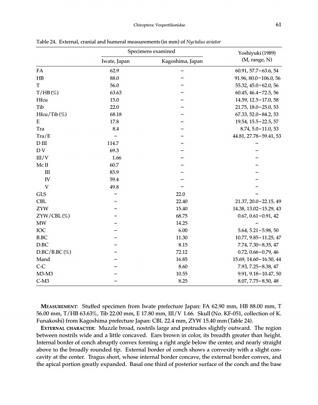 61페이지