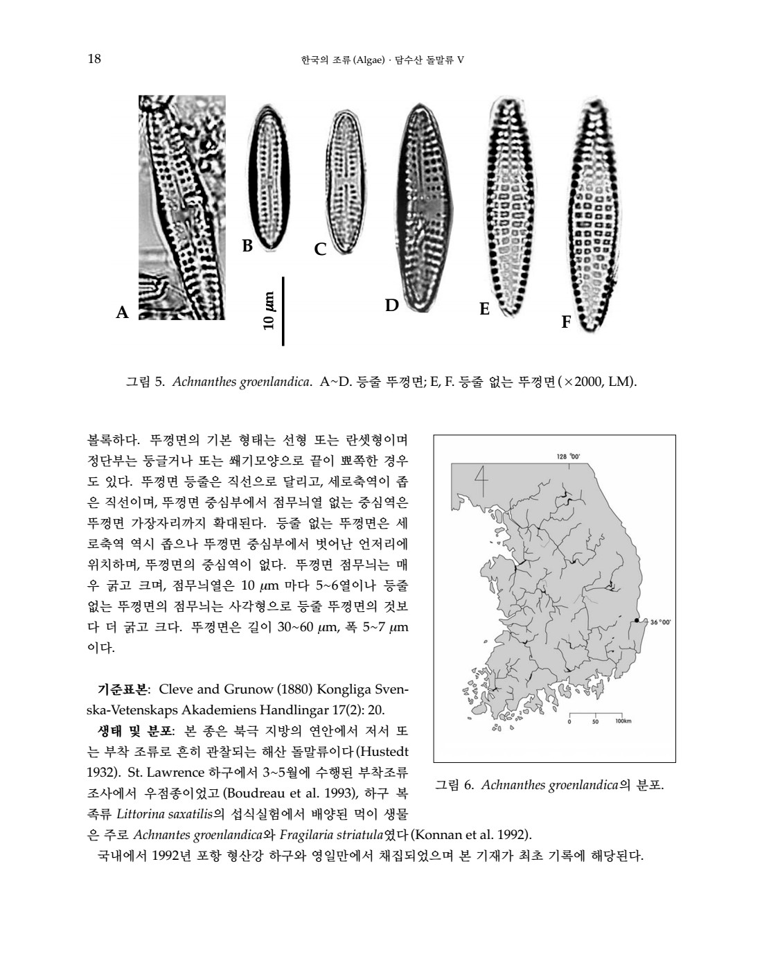 페이지