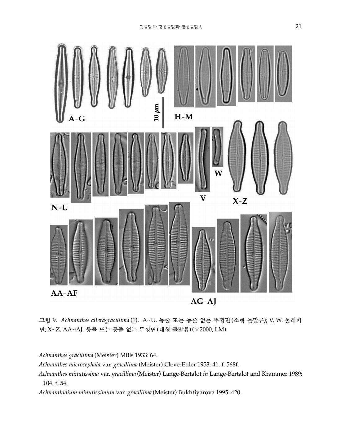 페이지