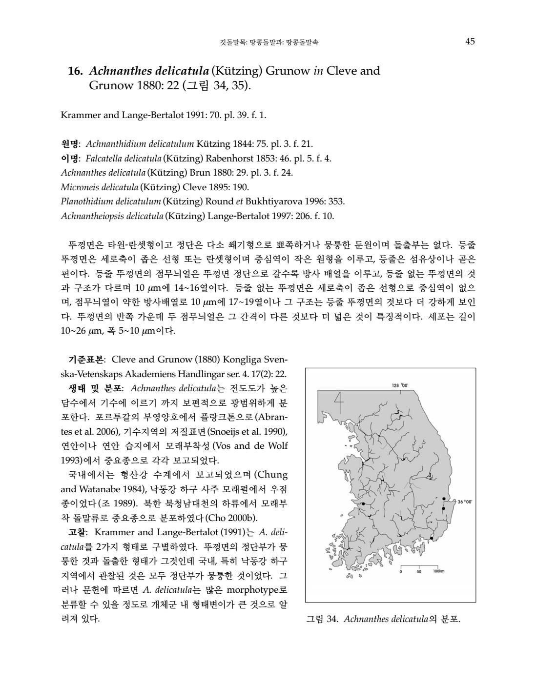 페이지