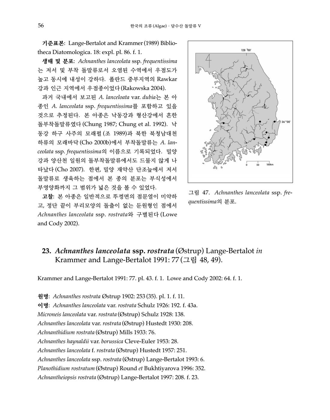 페이지