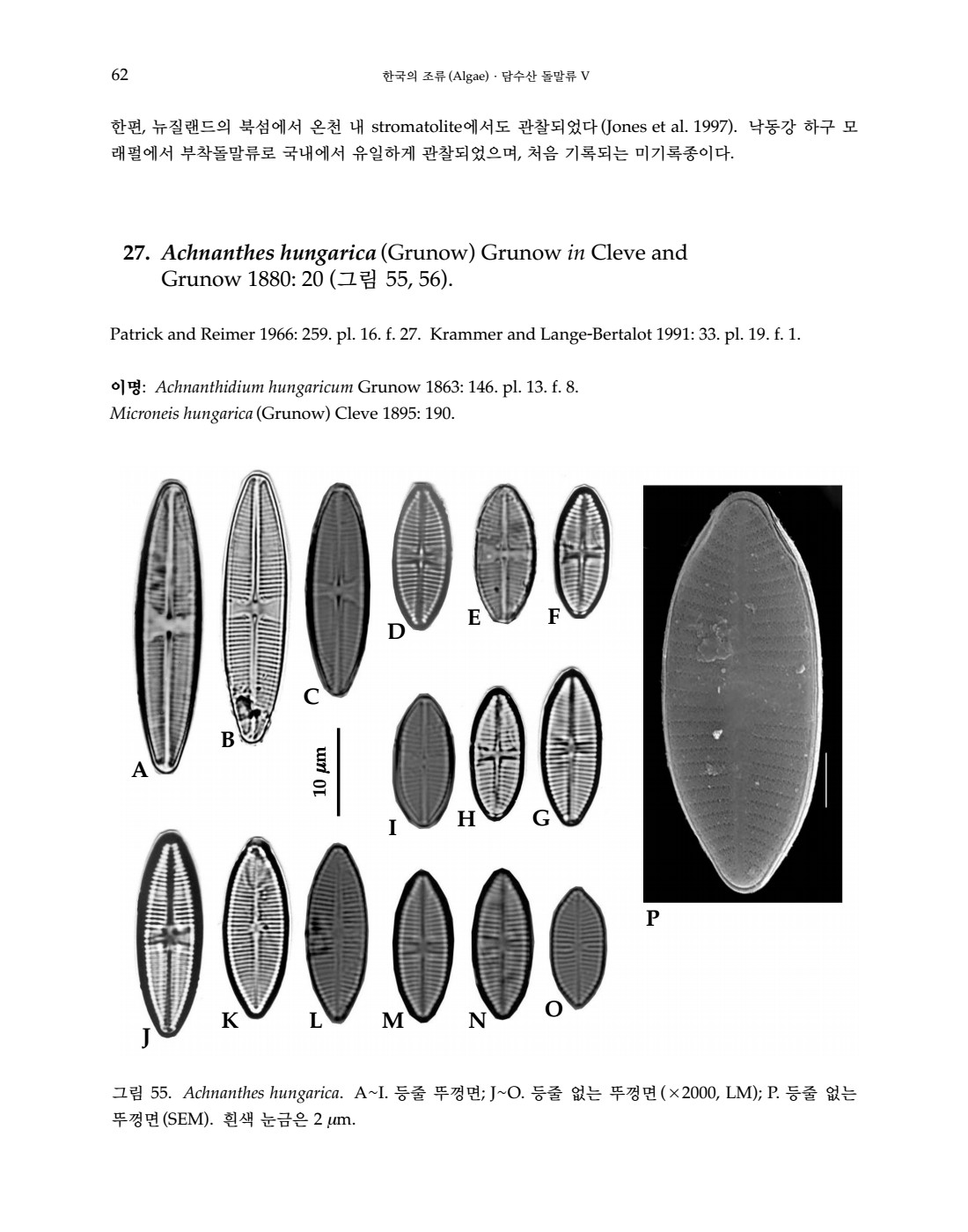 페이지