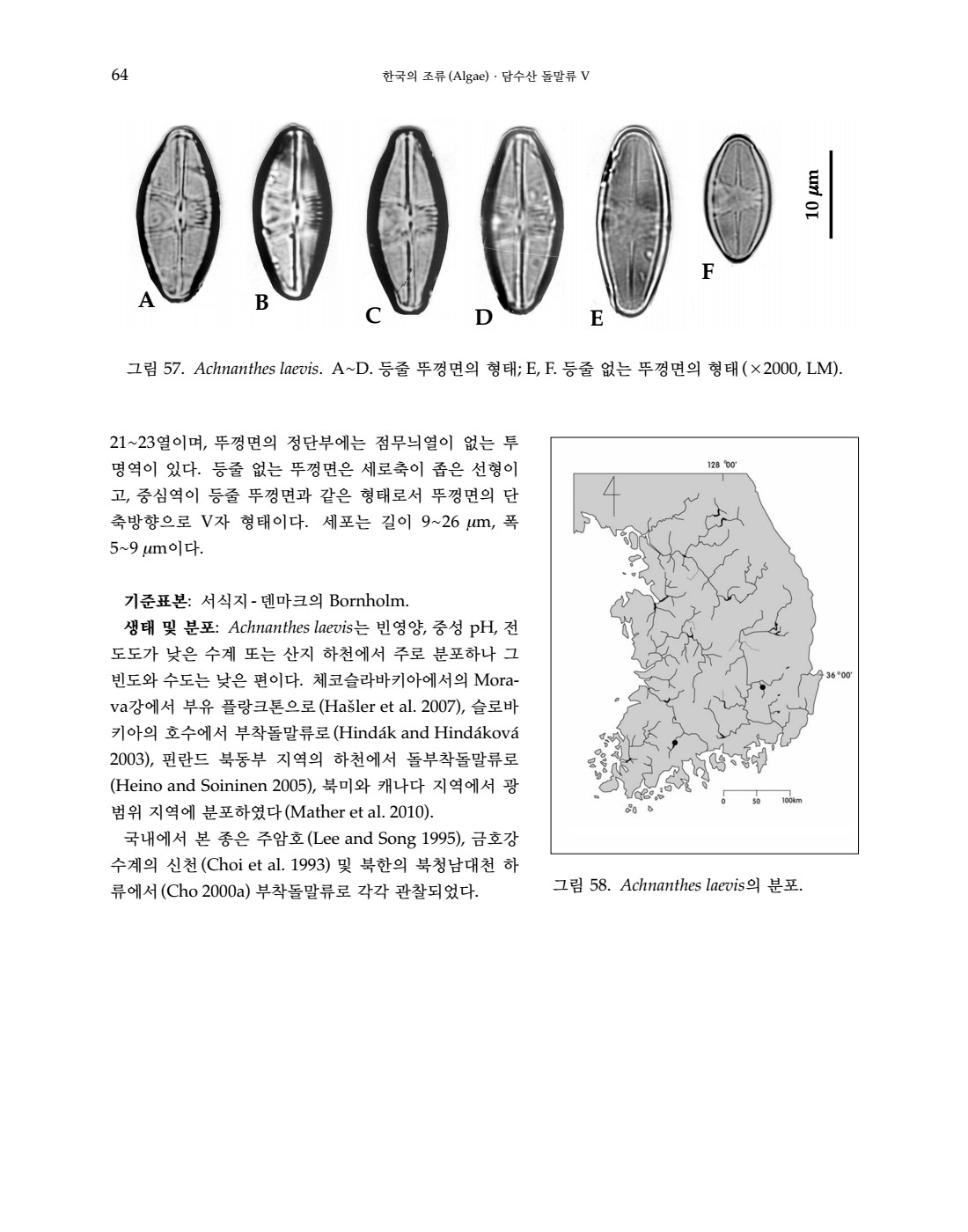 페이지
