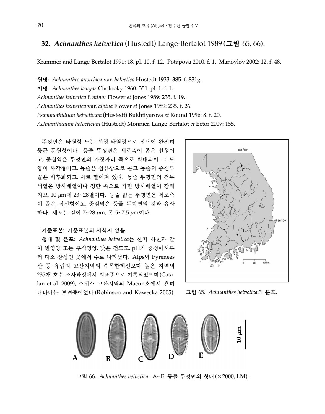 페이지