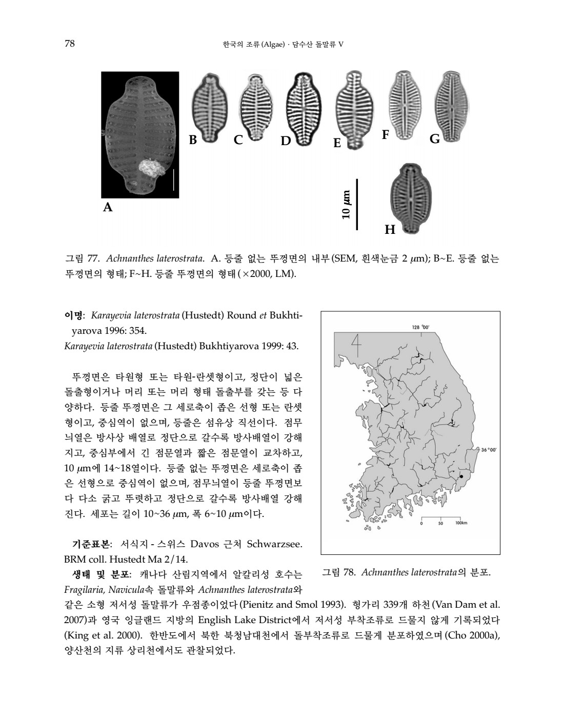 페이지