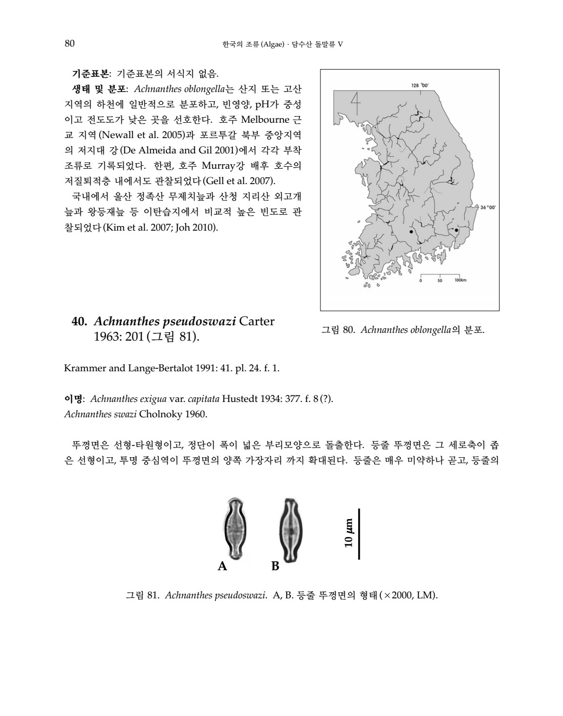 페이지