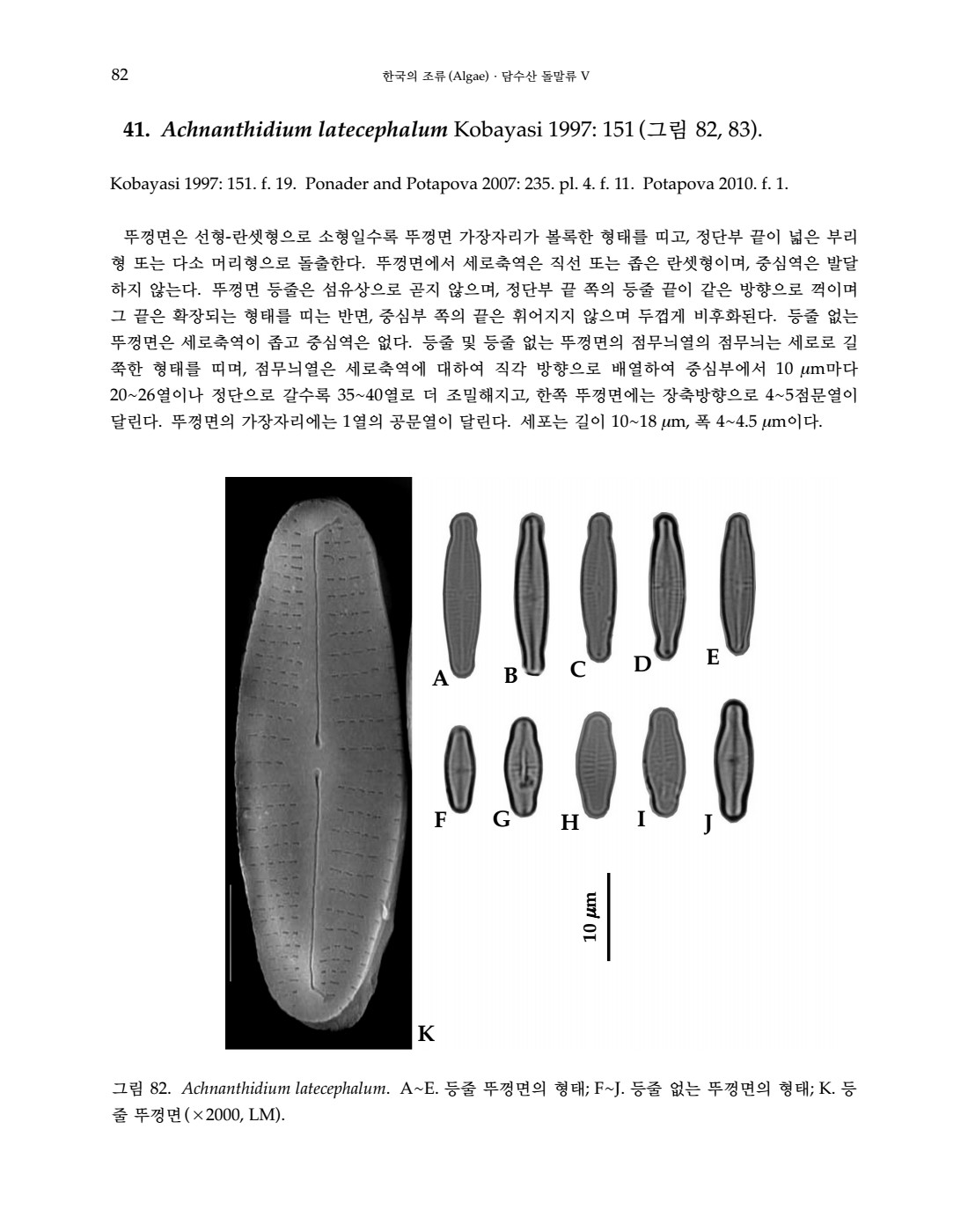 페이지