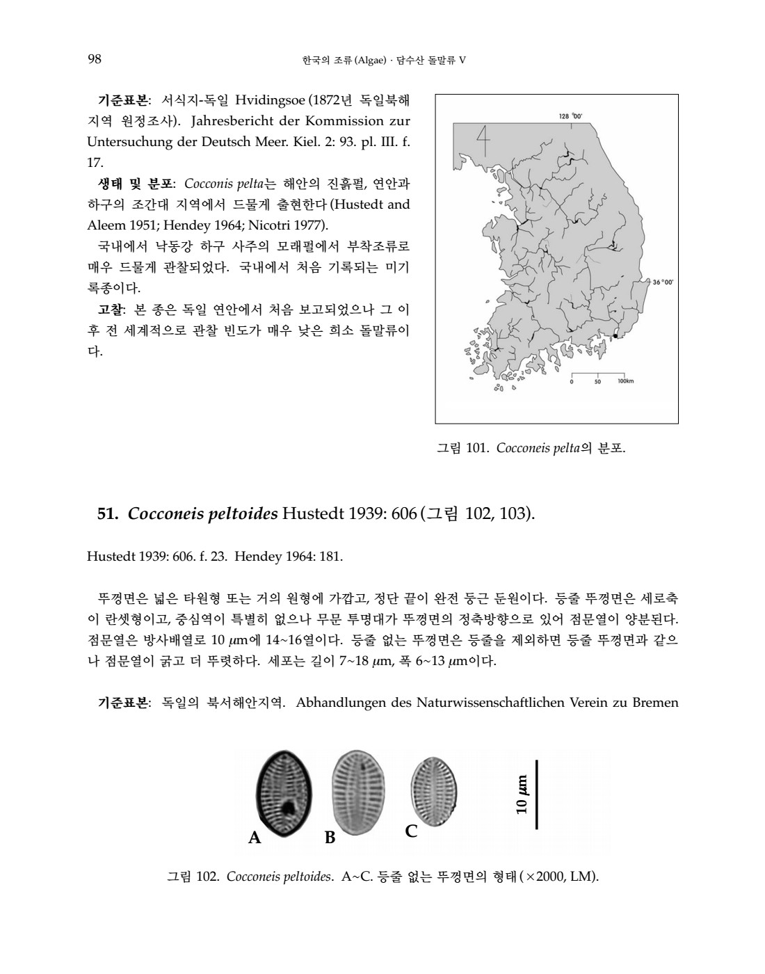 페이지