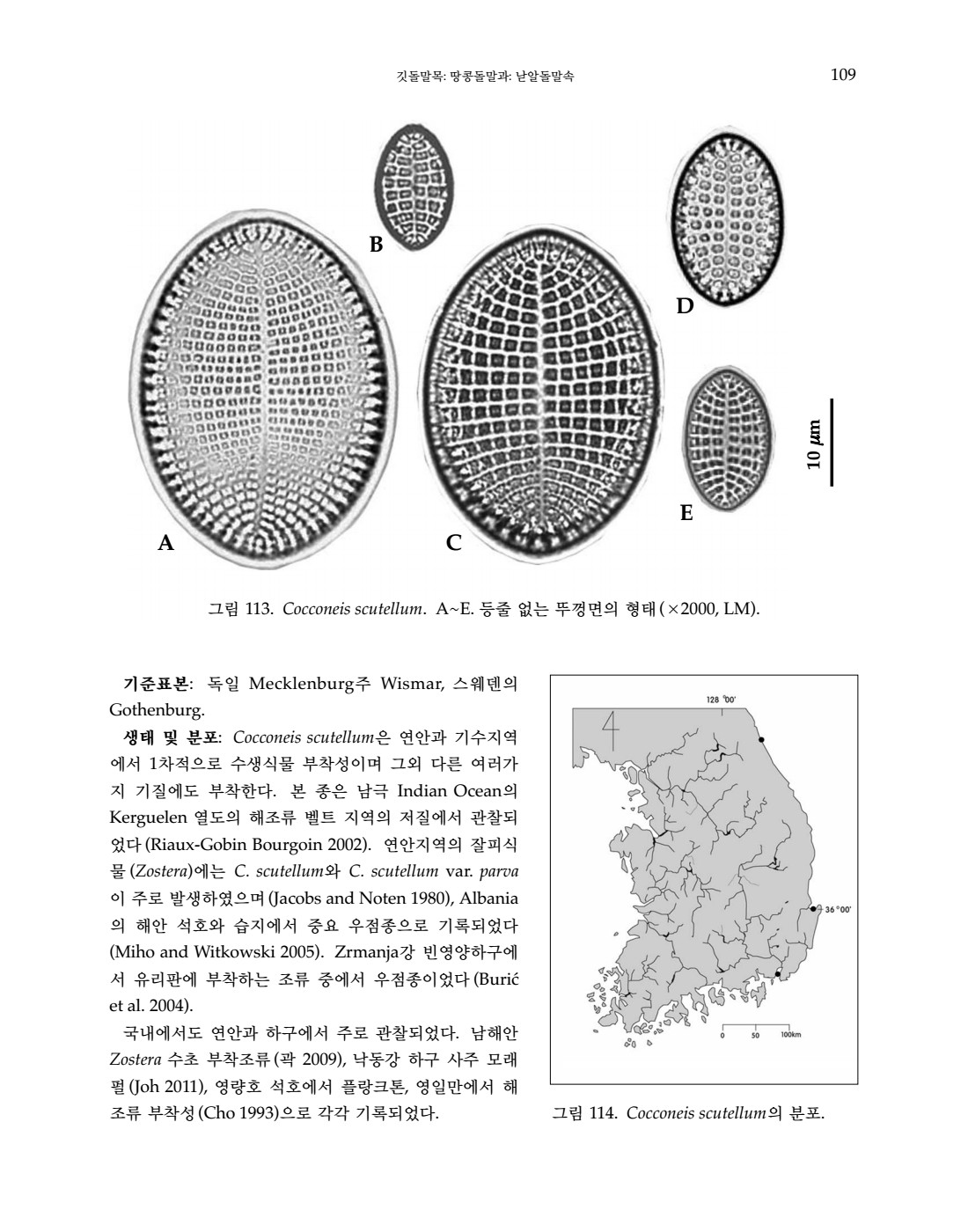 페이지