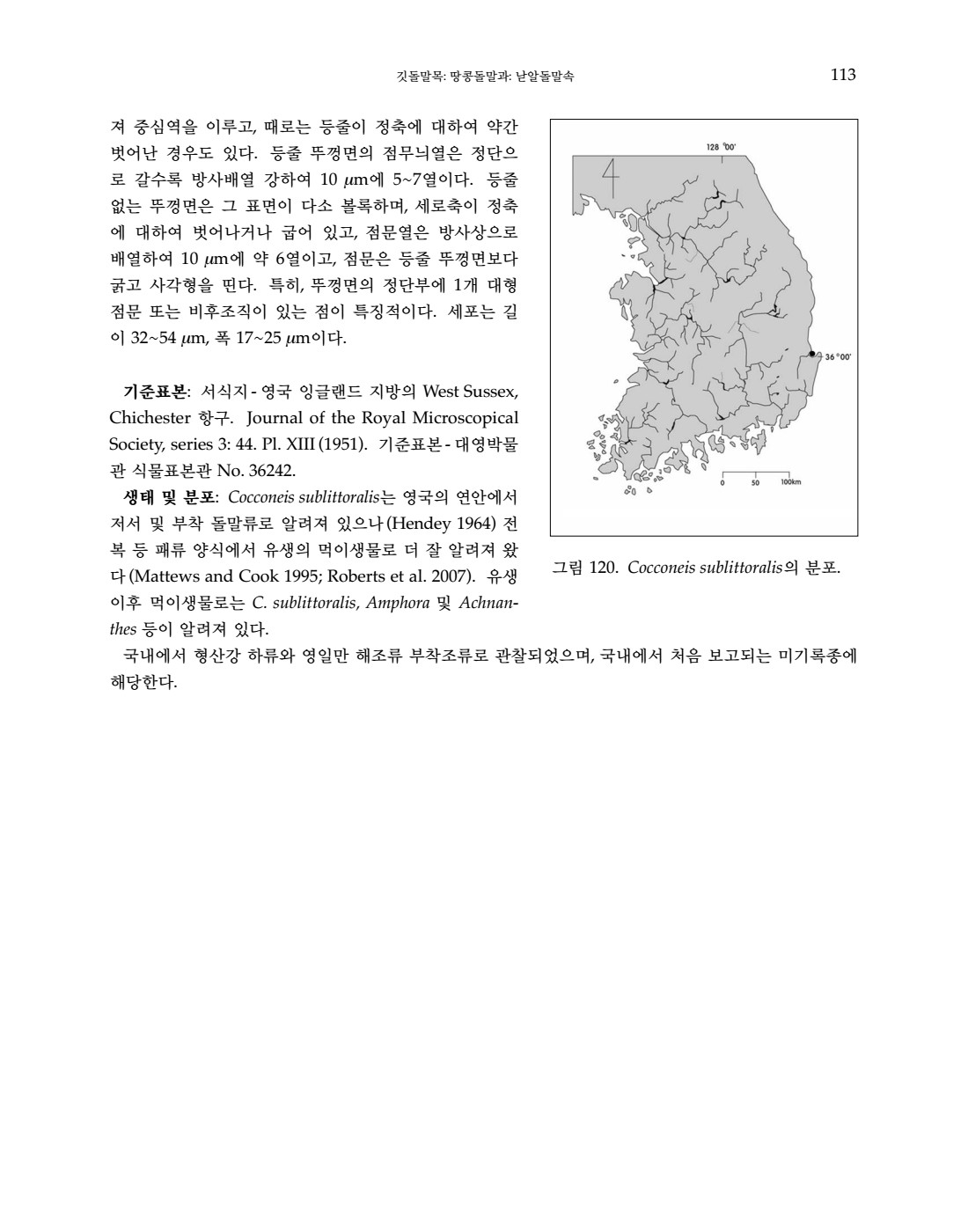 페이지