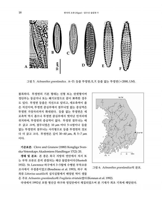 25페이지