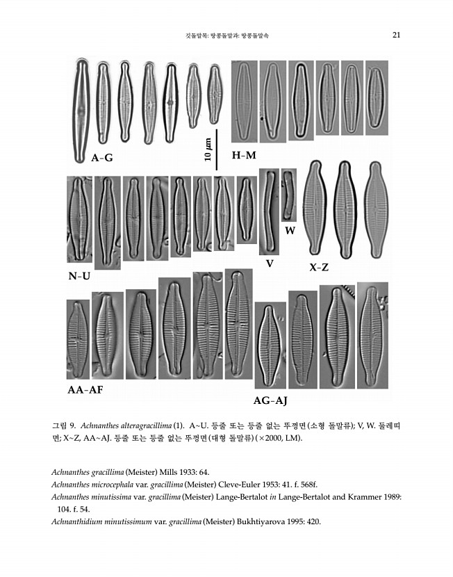 28페이지