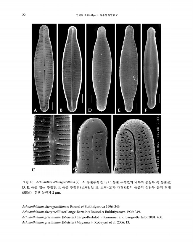 22페이지