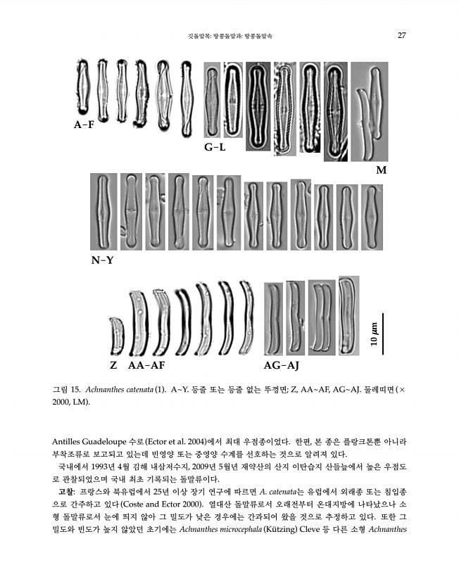 27페이지