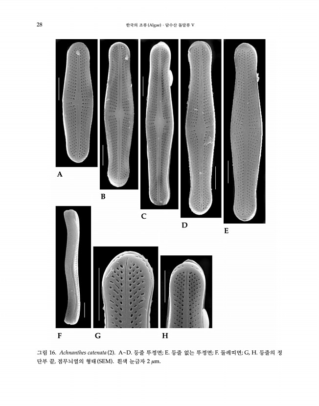 28페이지