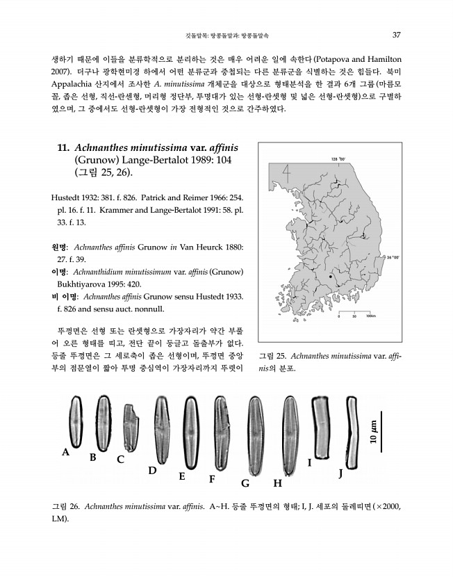 37페이지