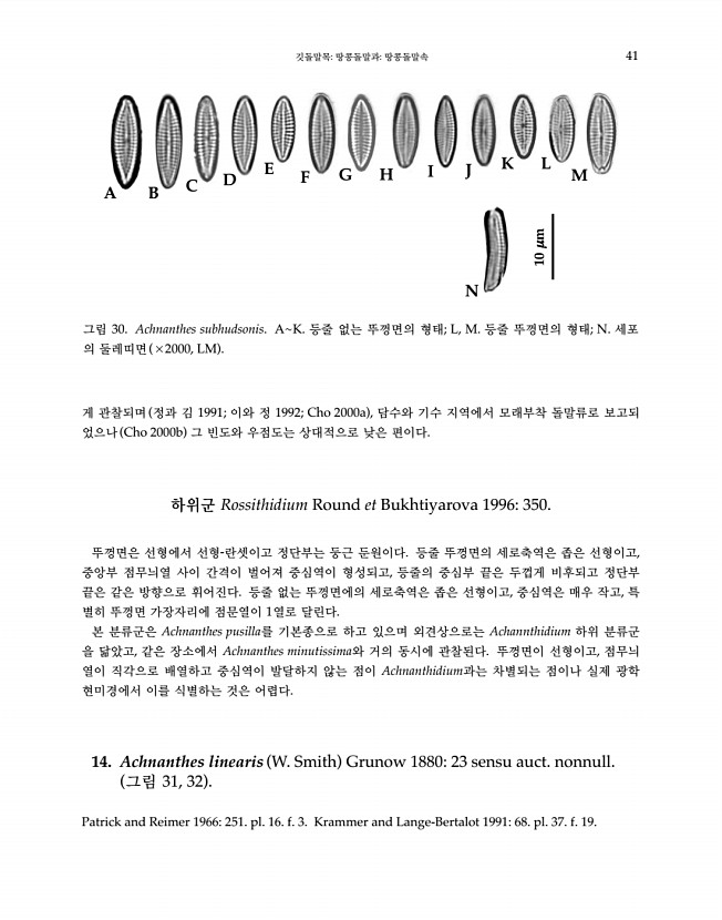 41페이지