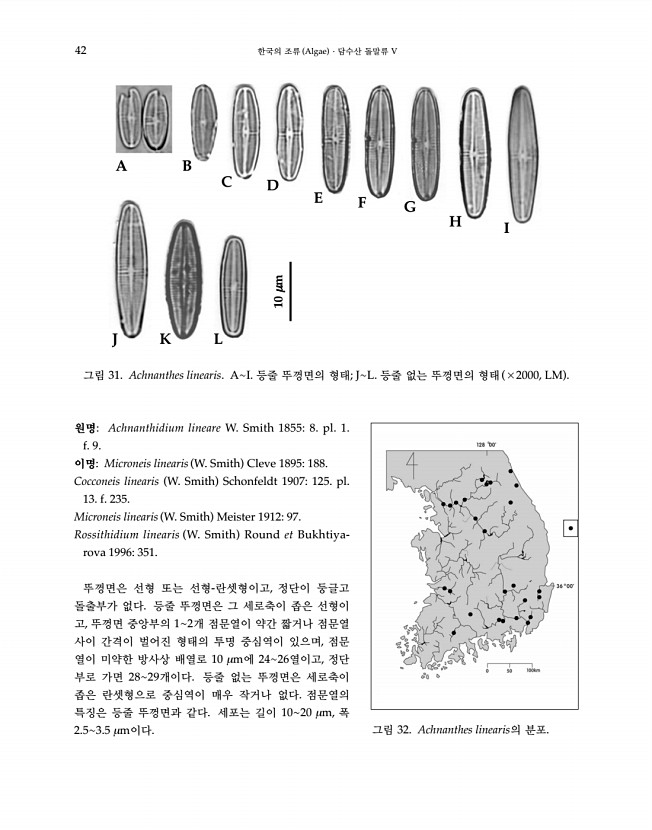 42페이지