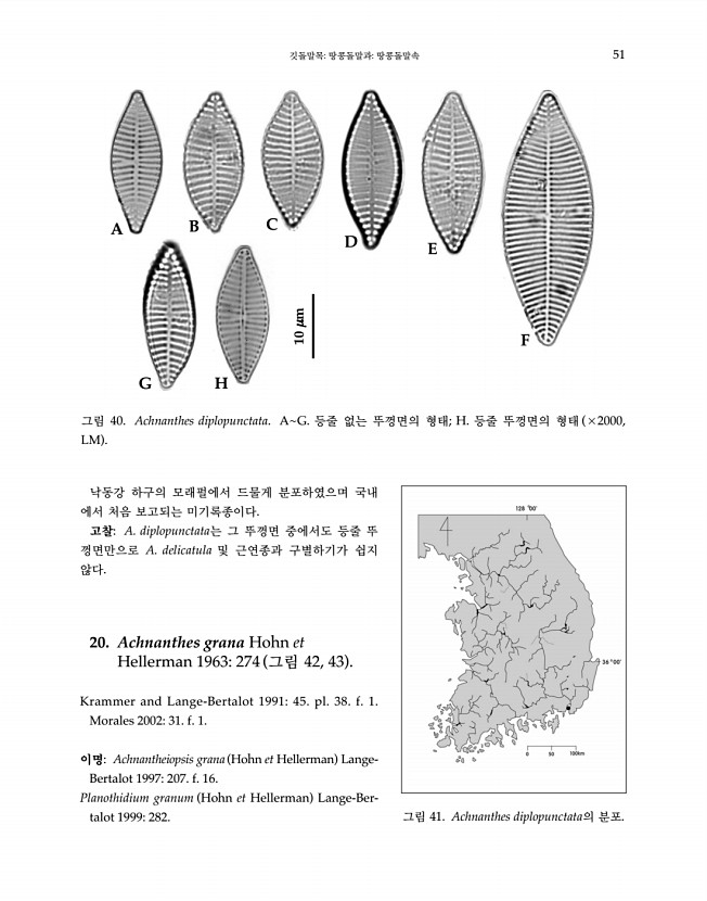 51페이지