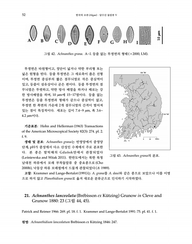 52페이지