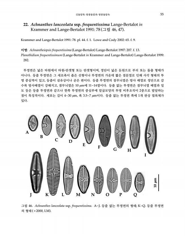 55페이지