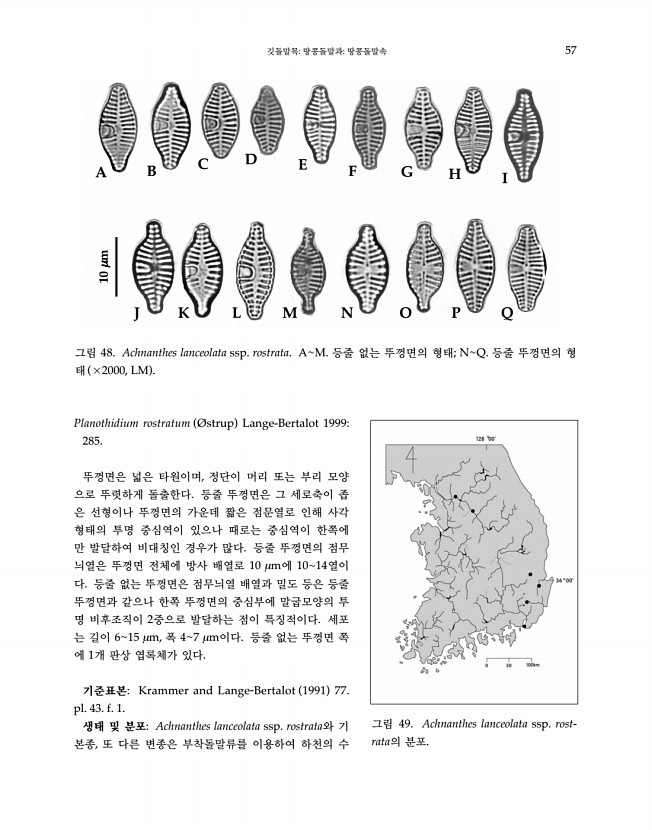 57페이지