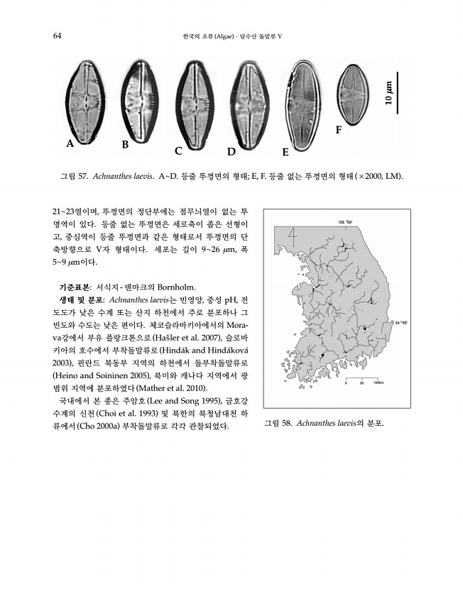 64페이지