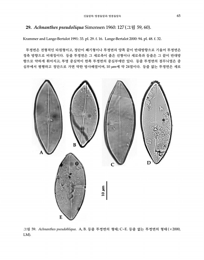 65페이지