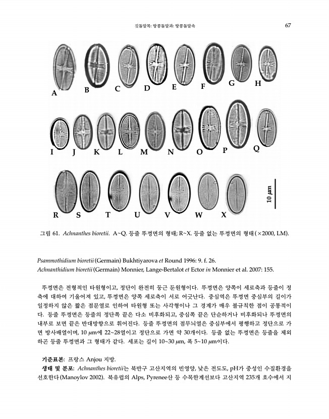 67페이지