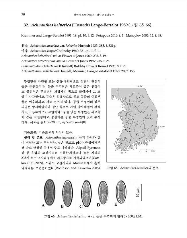 70페이지