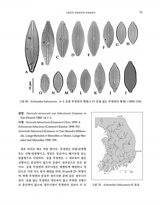 73페이지