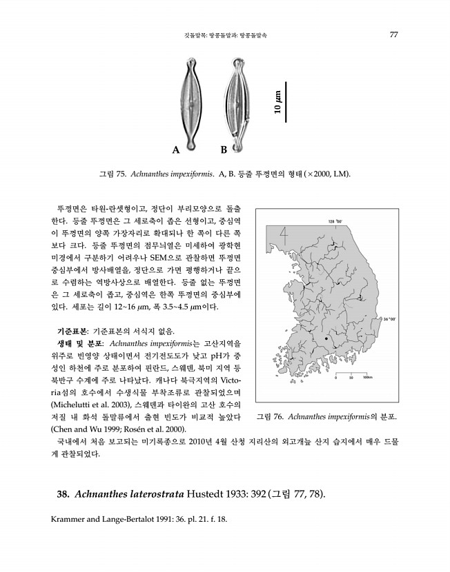 77페이지