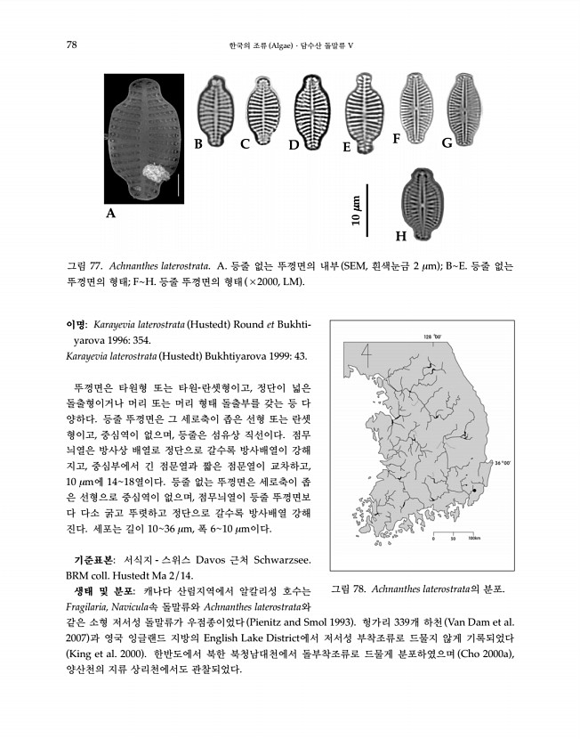 78페이지