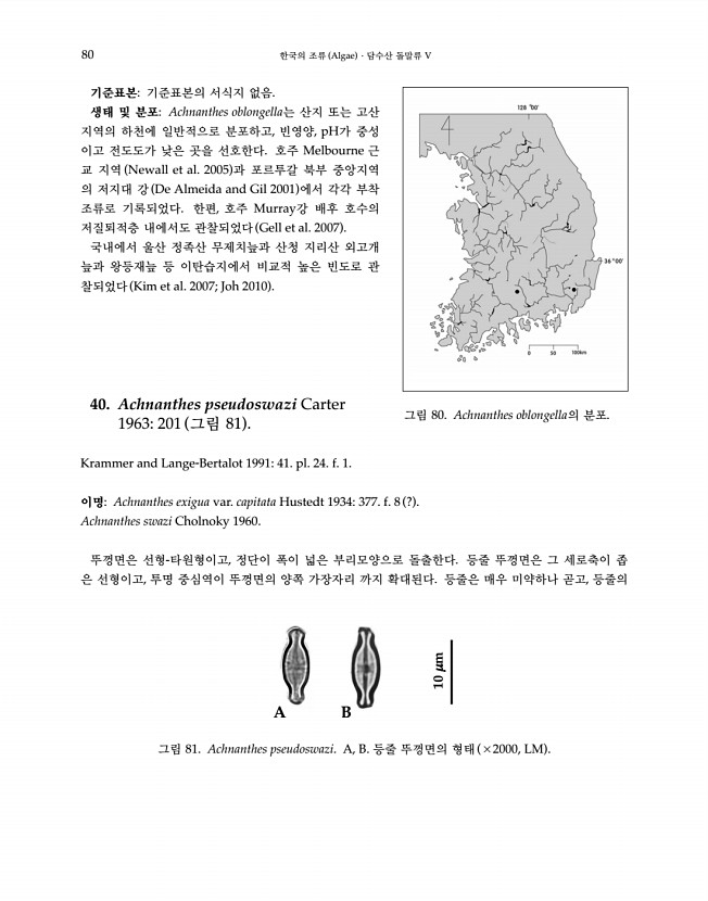 80페이지