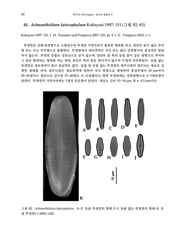 82페이지