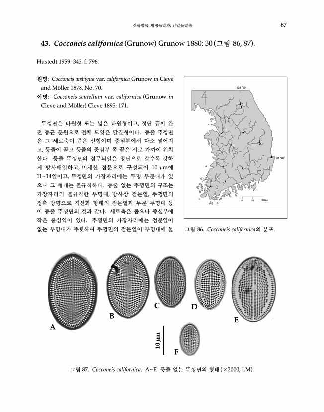 87페이지