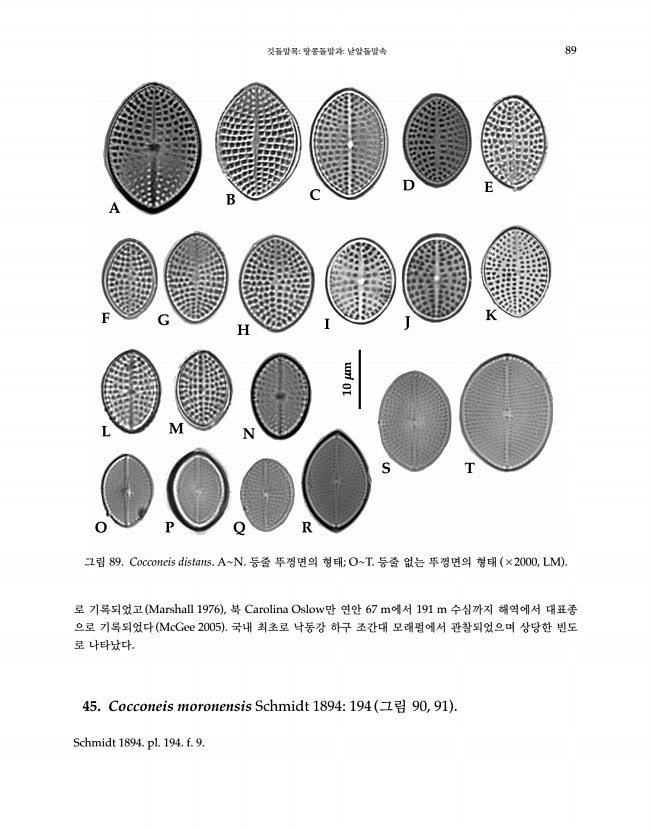 89페이지