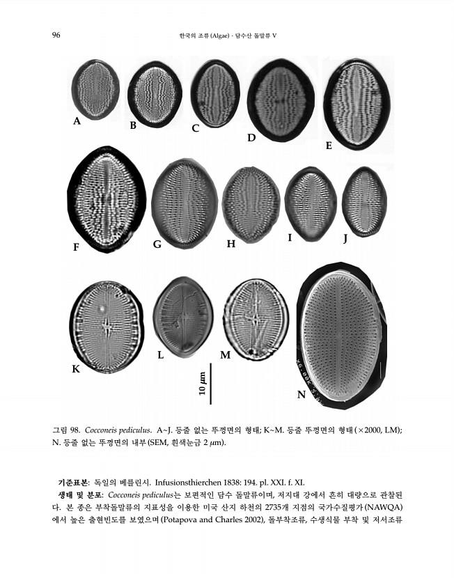 96페이지