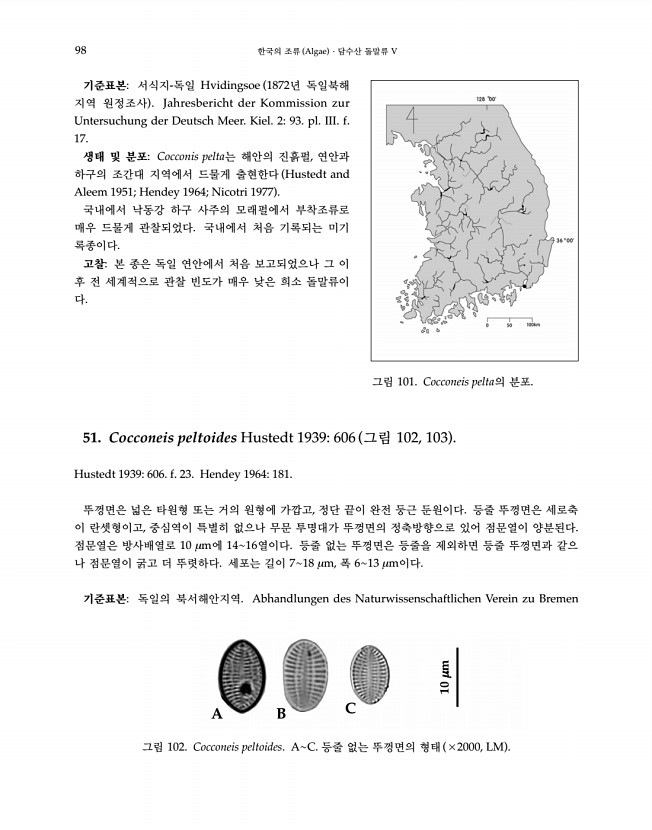 98페이지