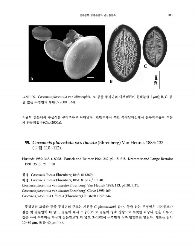 105페이지