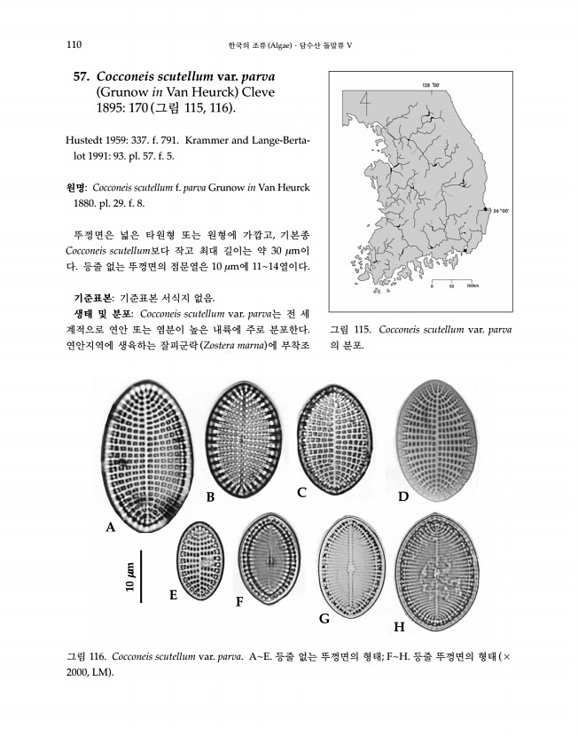 110페이지