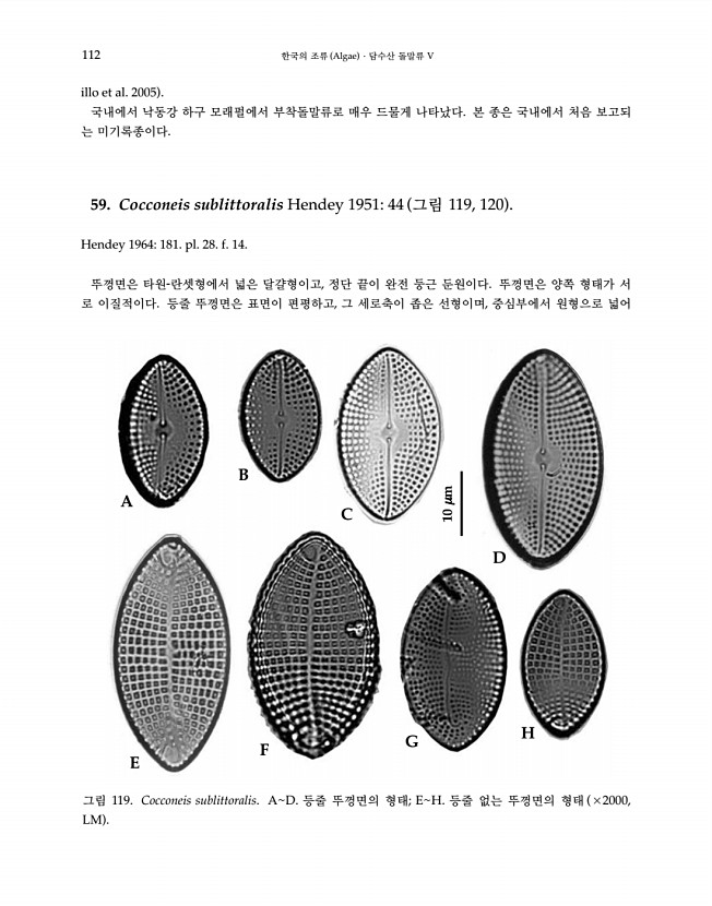 112페이지