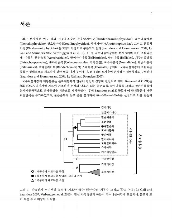 5페이지